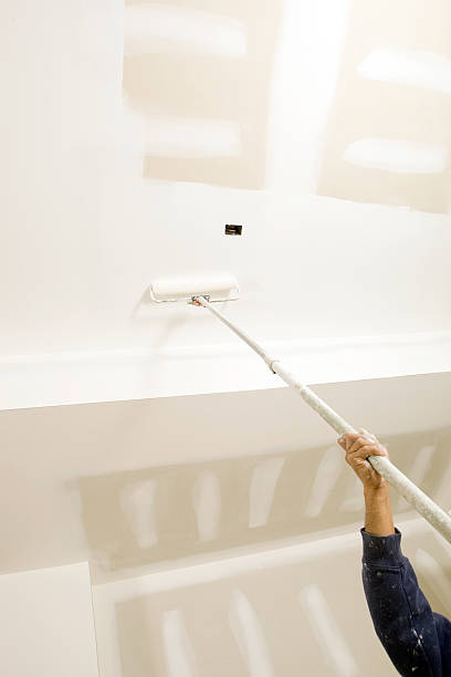 Randleman, NC Mold Removal Company